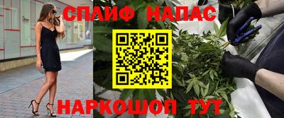 СК Заводоуковск
