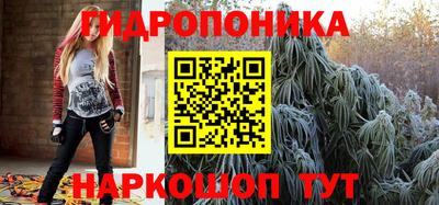 прущие крисы Дубна