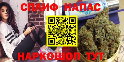 дмт Донецк