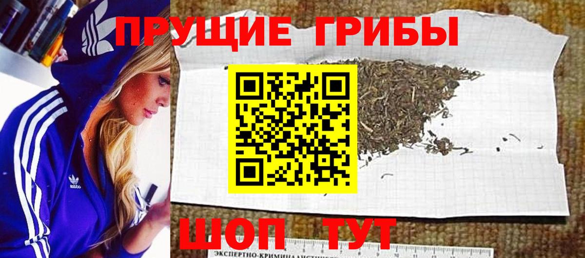 Галлюциногенные грибы Cubensis  Псилоцибиновые грибы мицелий  Лыткарино  Вход с VPN 